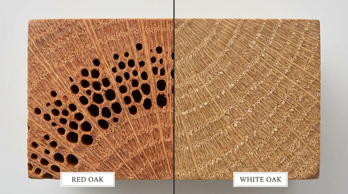 Red oak's open pores next to white oak's sealed pores, side by side